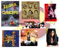 Les Fées Mères : les groupes